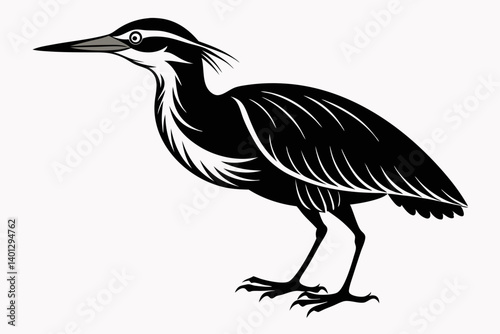 american bittern sihouette black vector