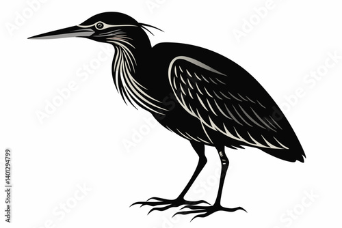 american bittern sihouette black vector