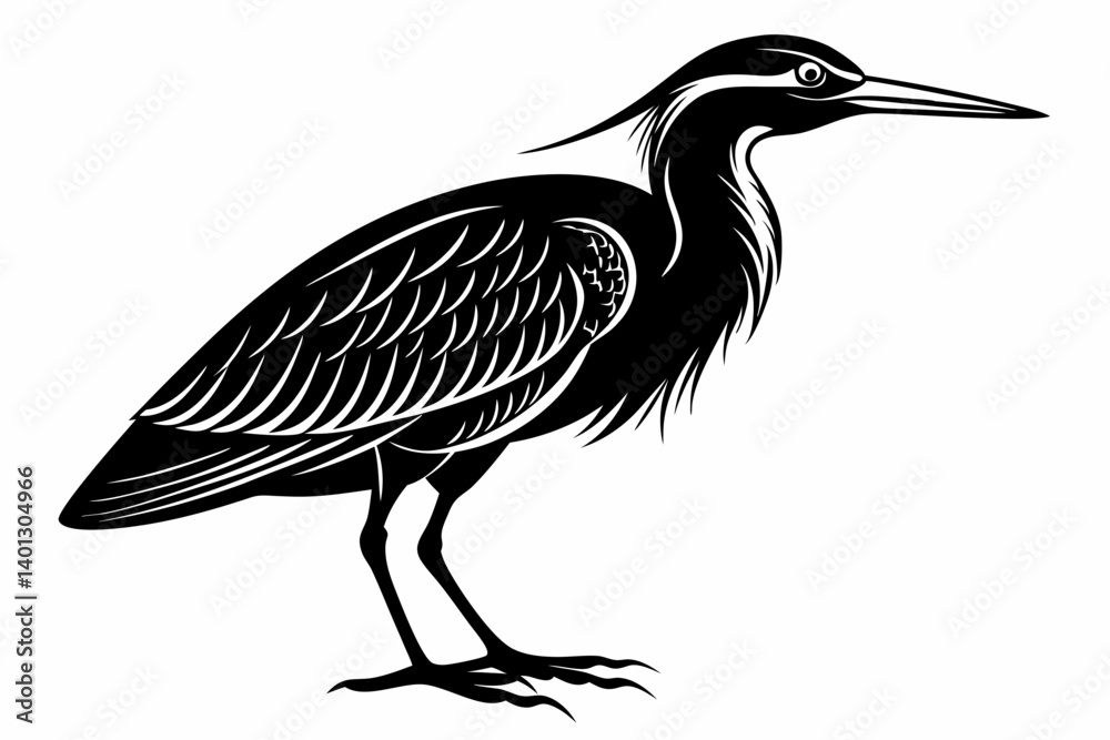 Fototapeta premium american bittern sihouette black vector