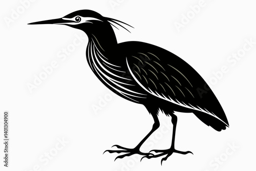 american bittern sihouette black vector