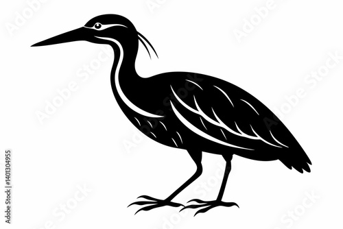 american bittern sihouette black vector