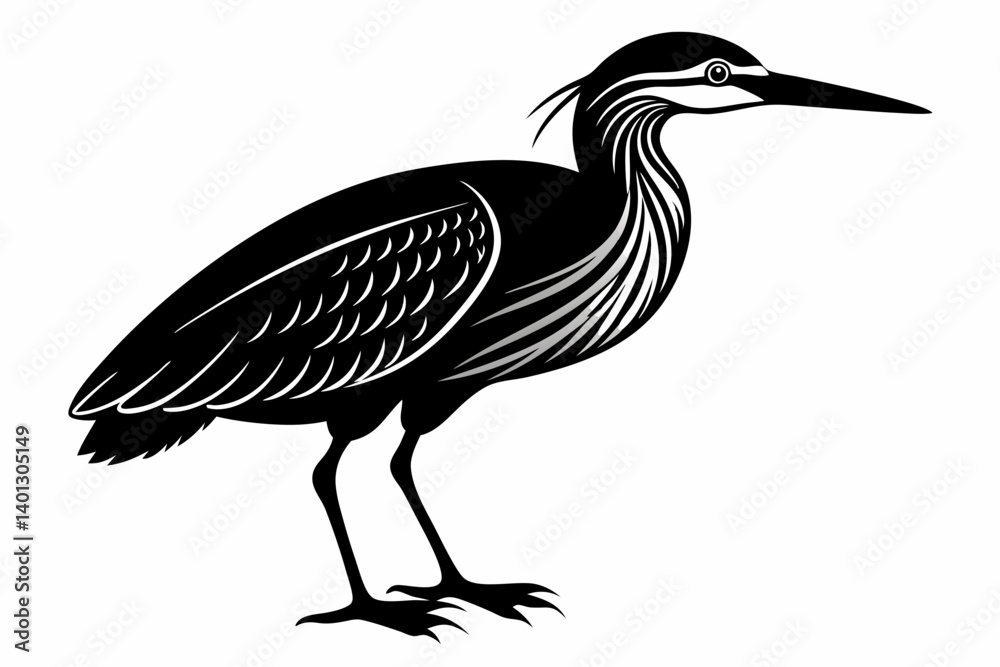 Obraz premium american bittern sihouette black vector