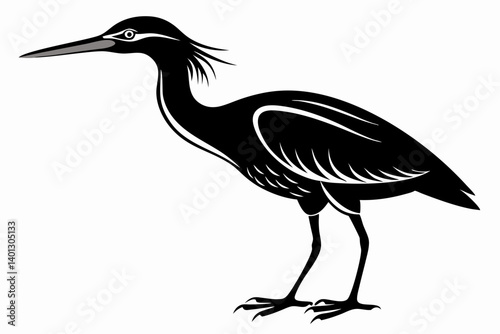 american bittern sihouette black vector
