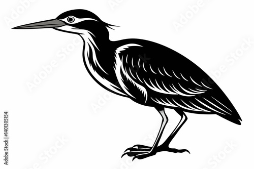 american bittern sihouette black vector