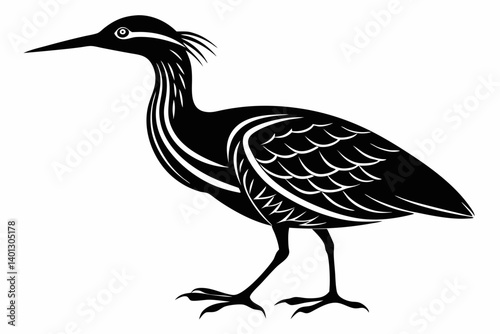 american bittern sihouette black vector