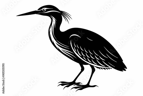 american bittern sihouette black vector