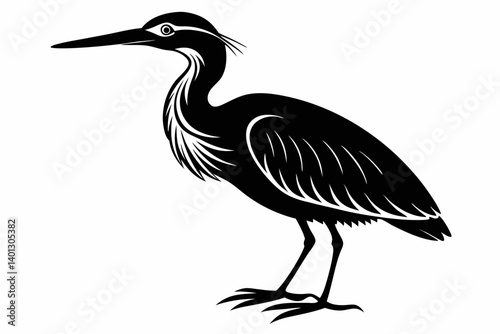 american bittern sihouette black vector