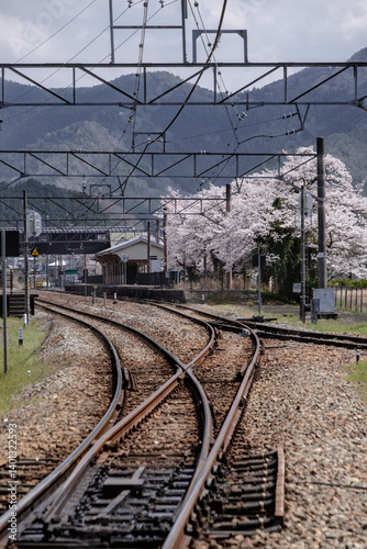 桜の咲くローカル駅
