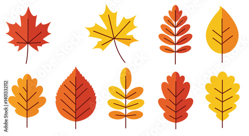 Colorful autumn leaves in flat design style showcasing variety in shapes vector illustration