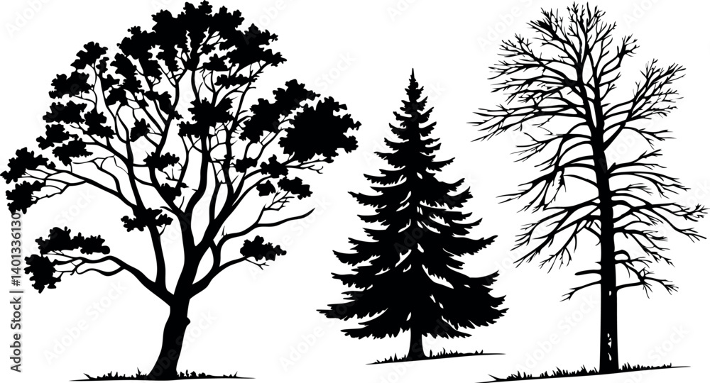 Fototapeta premium Pine Tree Forest Silhouette – Black and White Evergreen Tree line Vector Illustration