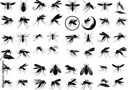 Mosquito Silhouette Vector Icon Set