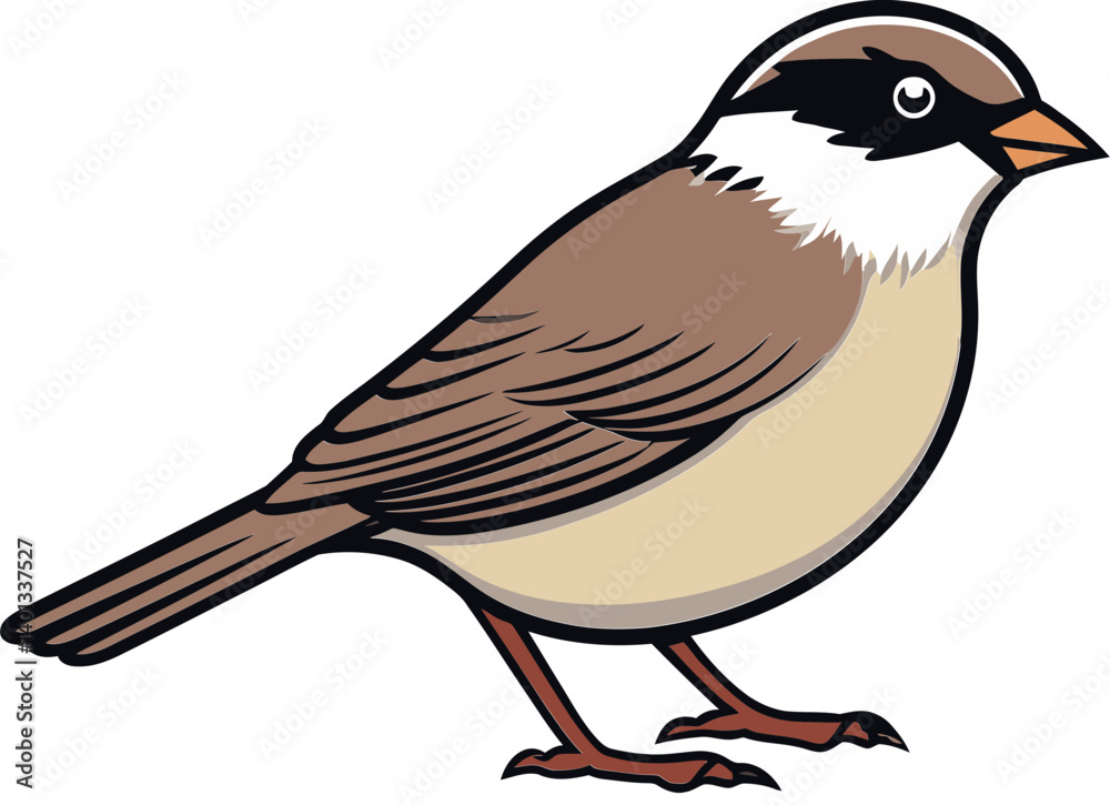Sparrow with Dandelion Seeds Sparrow in Open Field Vector Sparrow with Dandelion Seeds Sparrow in Open Field Vector