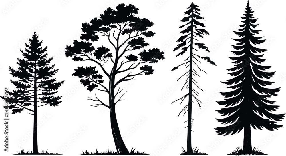 Fototapeta premium Pine Tree Forest Silhouette – Black and White Evergreen Tree line Vector Illustration