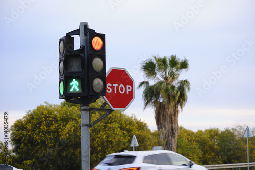 Traffic light and stop sign by palm tree on suburban street