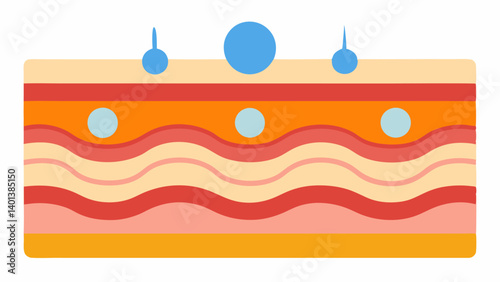 Elasticity Boost A graphic representation showing a series of skin layers with elastic fibers appearing thicker and more robust after serum application.