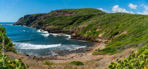 View over coast and cliffs of Presqu'Île de la Caravelle a nature reserve on Martinique