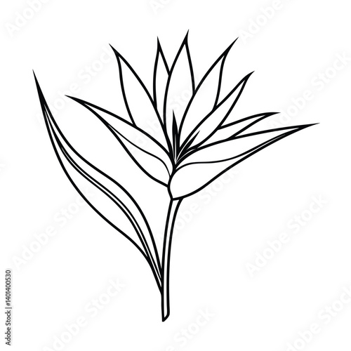 flower lice art