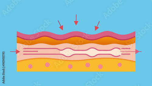 Barrier Breakdown A detailed vector of the skin barrier with arrows showing how nanotechnology breaks through the outer stratum corneum for deeper ingredient tration.