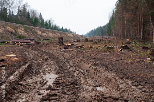 Deforestation area, clearing in the forest along the railway, dirt road with deep rut, pile of logs