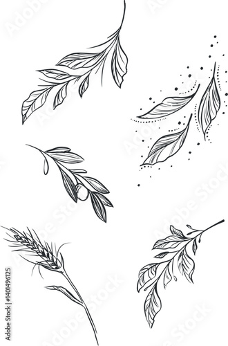 Fotomural Minimal drawn floral botanical line art