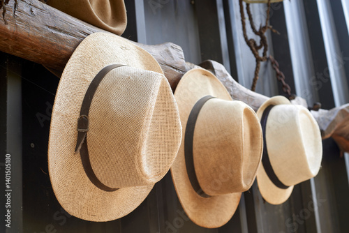 Vintage straw hats with dark bands hanging side by side on weathered wooden rack, presenting classic accessory arrangement against deep shadowy backdrop
