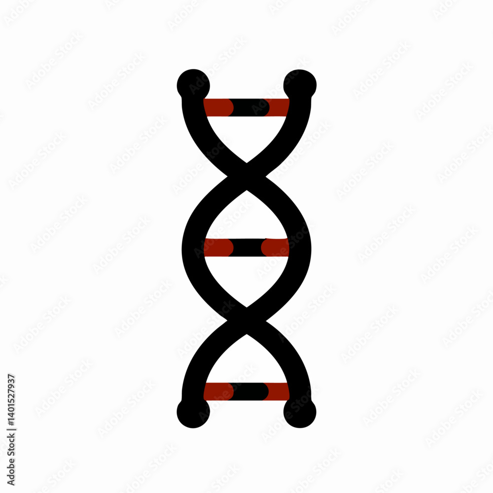 A DNA helix vector icon with base pairs