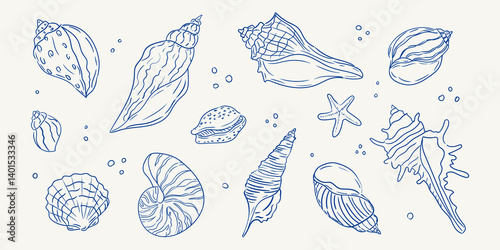 Detailed illustrations of seashells and a starfish created in a minimalist style