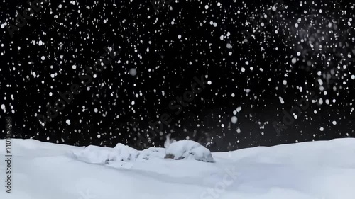 Falling Snow Winter Background, Perfect for Holiday Projects