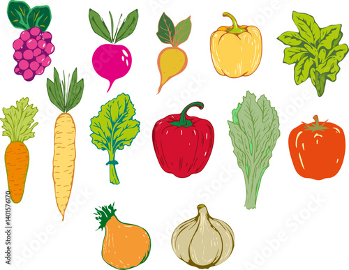 A drawing of various vegetables.