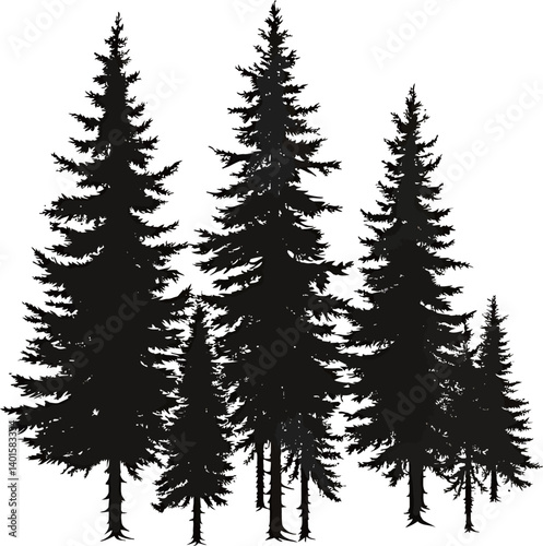 Obraz na płótnie Silhouette of evergreen trees against a dark background w salonie