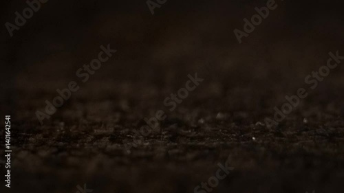 Dark Brown Grainy Texture - Gradually Shifting Focus to Reveal Intricate Details with Soft Blurring and Subtle Depth for an Elegant, Sophisticated Low-Key Background. FL0106