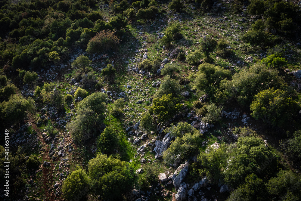 Fototapeta premium Spring view of Ajloun green hills and forest from inside a cable car, northern Jordan