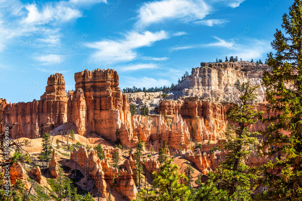 Peekaboo trail and the Cathedral in Bryce Canyon National Park, Utah.