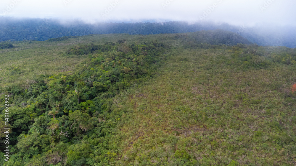 Obraz premium Iron rocks in the Amazon forest