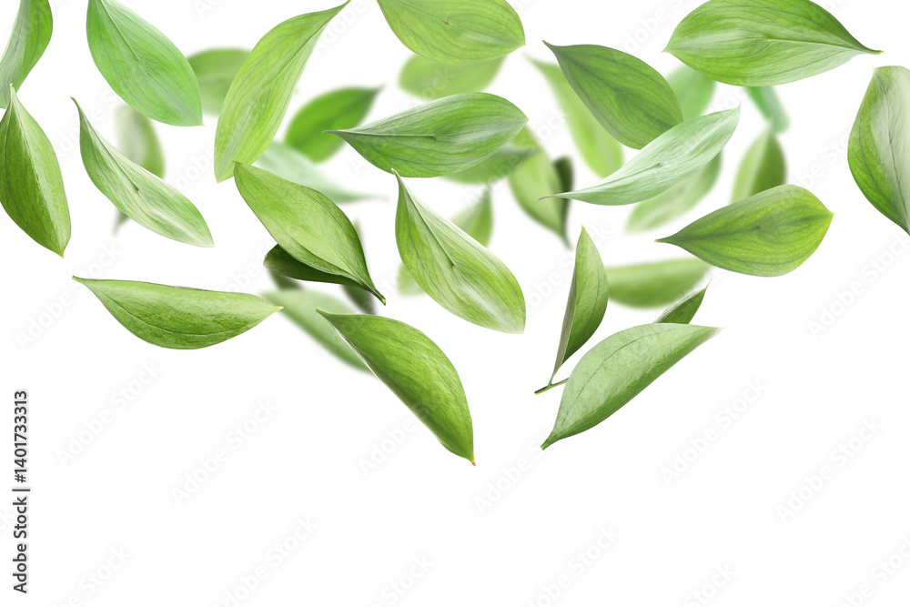 Naklejka premium Many fresh green leaves flying on white background