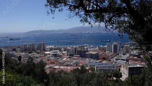 Panoramic view of Gibraltar city, harbor and Algeciras Bay framed by tree branches