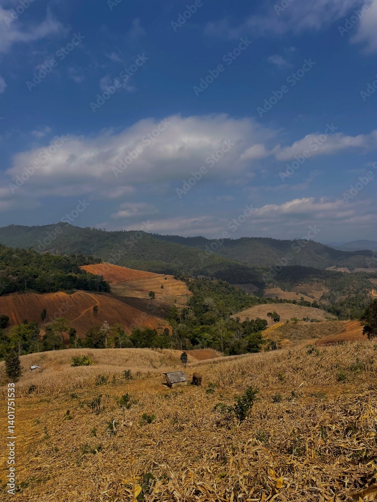 Fototapeta premium landscape with mountains