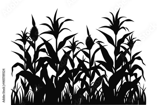 black maize field silhouette on white background