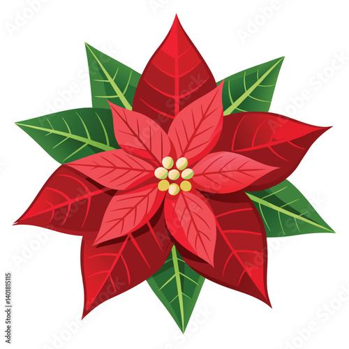Christmas poinsettia isolated on white background