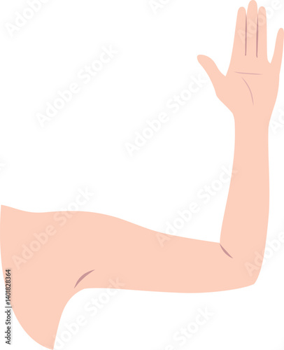 女性の腕（手のひら）のパーツイラスト