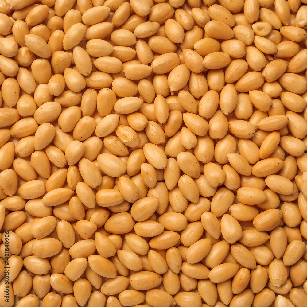 peeled pine nuts background texture peeled pine nuts background texture