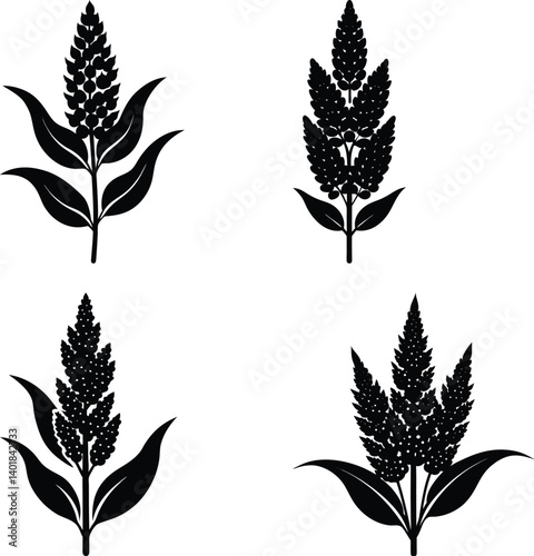 Quinoa silhouette vector