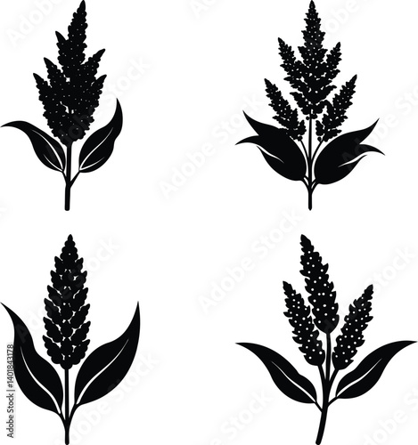 Quinoa silhouette vector