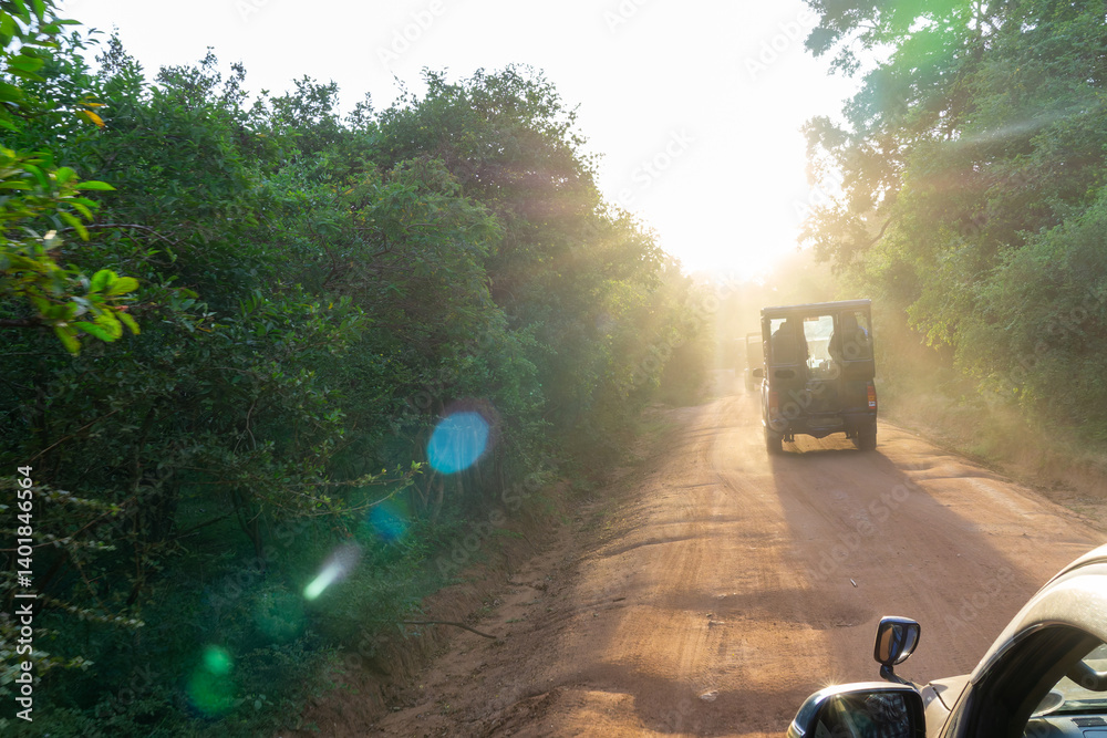 Traveling on safari along dusty tree lines road heading into sunrise