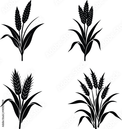 Millet silhouette vector