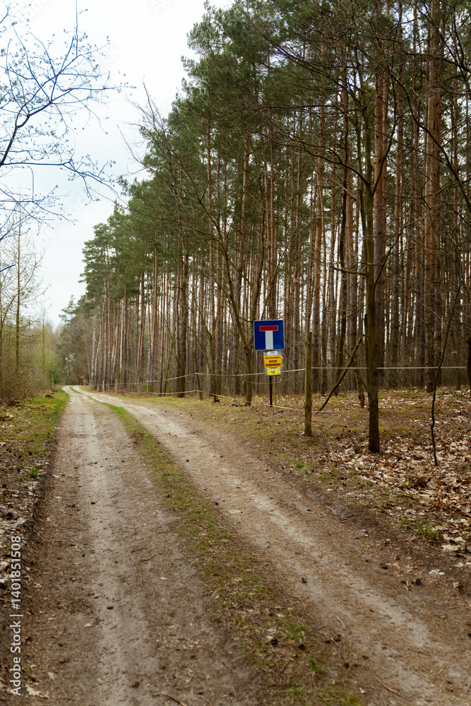 Obraz premium Znak „droga bez przejazdu” w sosnowym lesie – Polska