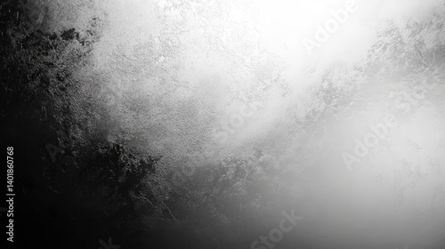 This image features a dynamic black and white abstract texture showcasing blurring and shimmering light effects with soft shapes and patterns creating a fluid and elegant atmosphere