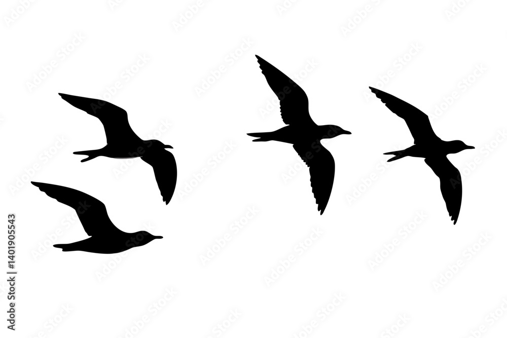 Fototapeta premium set of seagull flying silhouette vector illustration