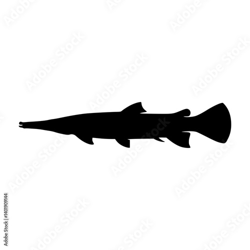 Silhouetted Wels Catfish Graphic