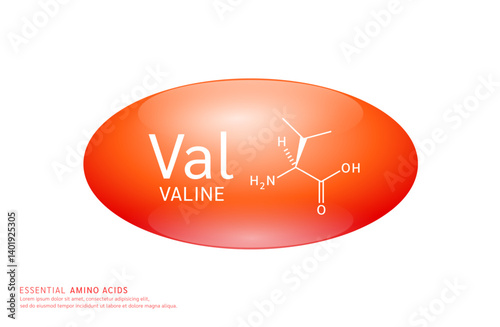 Essential amino acids valine red ellipse form with chemical structure on white background. For design supplement for the body and muscles. Medical Science. Vector EPS10.
